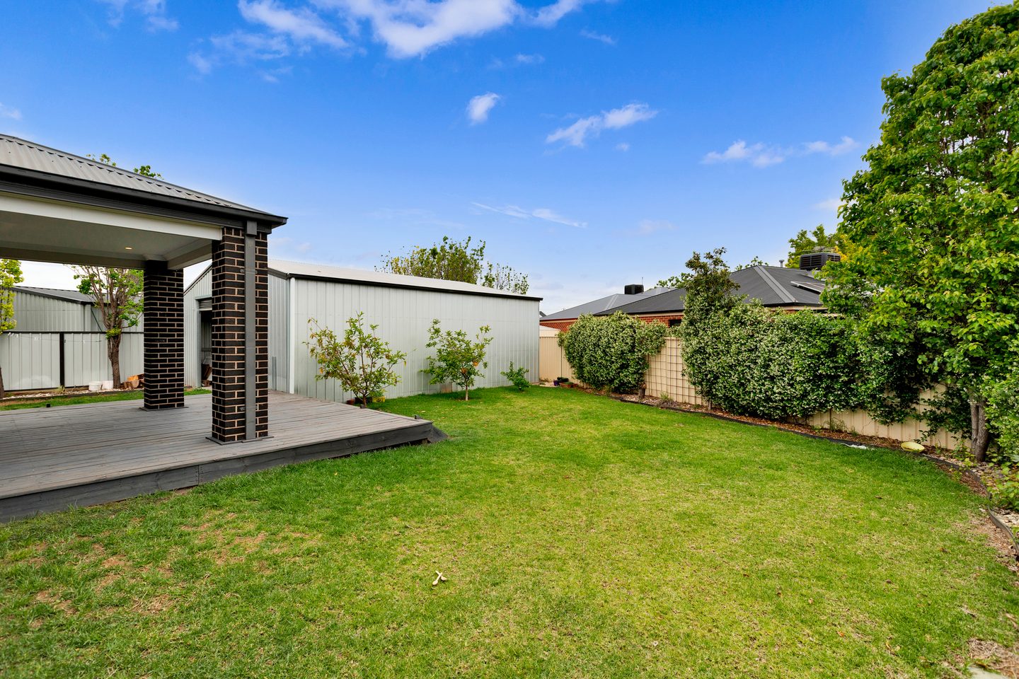 Lawn and planted boundaries beside the deck